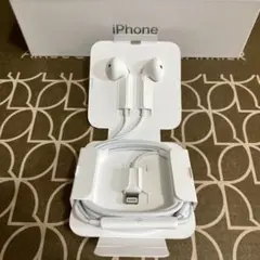Apple iPhone 純正 イヤホンライトニング 有線