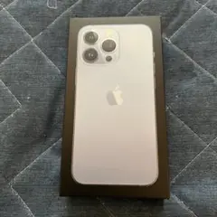 Apple iPhone 13 Pro シルバーケースのみ