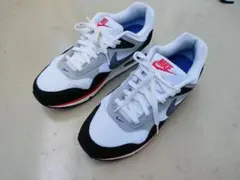 NIKE エアマックス コリレート 28.5