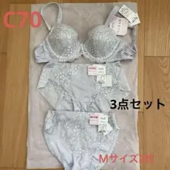 Item thumbnail for item 710e64d9-046d-4327-ad6d-60572f2aad01