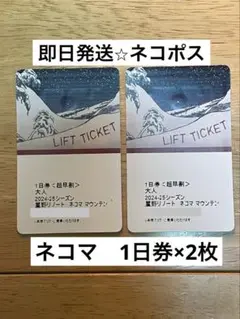 ネコママウンテン 1日券 2枚セット 最大2,000円割引・チャージ】星野リゾート ネコマ マウンテン 2