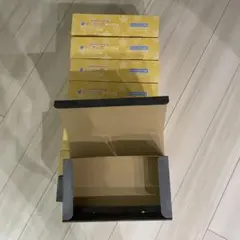 VOISINGチップス3空箱9個