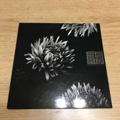 2025年最新】ELECTROCUTICA REVERSUSの人気アイテム - メルカリ