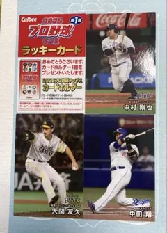 Calbee 2025 プロ野球チップス ラッキーカード・選手カード3枚付