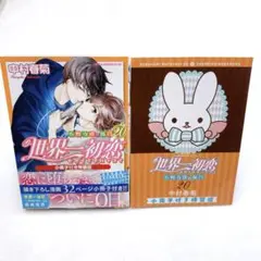 B22 世界一初恋20巻小冊子付き特装版