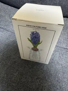 AQUA CULTURE VASE Lサイズ KINTO