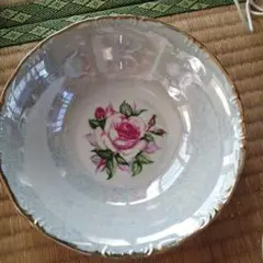 新品 美しい サラダボール皿 光沢
