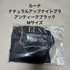 Item thumbnail for item 26998435-d283-4397-8fd9-a7e17a25ff8e