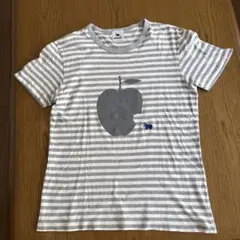 セカンド ストライプ柄 Tシャツ M グレー×オフホワイト