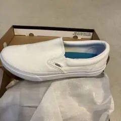 Item thumbnail for item 8c991d27-ffbe-42a5-b97b-5b3f8fbfde4e