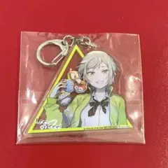 プロセカ 日野森志穂 アクリルキーホルダー 缶バッジ アニメイト予約特典
