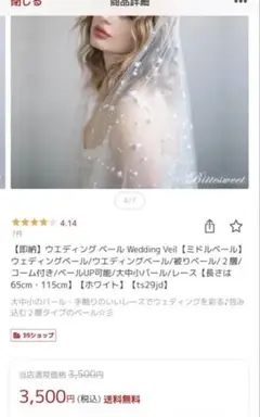 パール付きヴェール