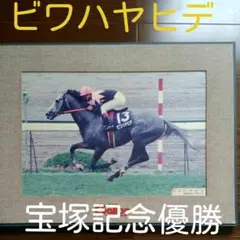 ビワハヤヒデ 宝塚記念優勝記念パネル 週間ギャロップ