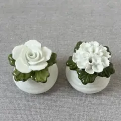 イギリス エインズレイ AYNSLEY 陶花 ソルト&ペッパー 白いお花