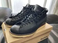 chippewa チペワ　ルーファー　ブリッジマン　28センチ　10EE