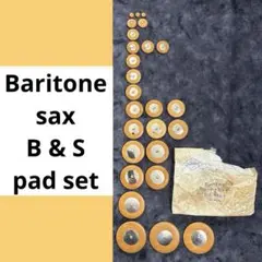 Item thumbnail for item b6ba5049-5150-480d-bfe7-f06e4db64e88