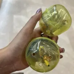 即日発送♡アンディが来た！