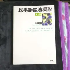民事訴訟法概説