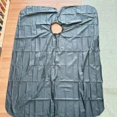 Item thumbnail for item d66c30e3-5870-40c3-bb42-54e760fc8e36