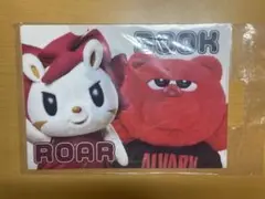 クリアファイル アルバルク東京、川崎ブレイブサンダース