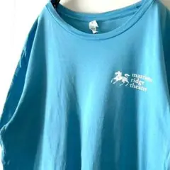 キャンバス 馬 シアトル 花火 Tシャツ L ライトブルー 水色 古着