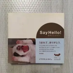 Say hello! : あのこによろしく。