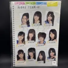 AKB48 TEAM-4 クリアファイル