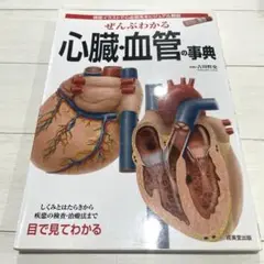 ぜんぶわかる心臓・血管の事典