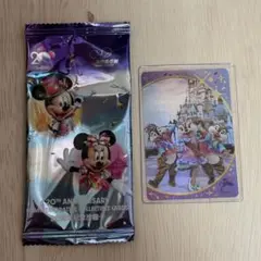 香港ディズニー　チップ デール クラリス コレクターズカード　MA限定　HKDL