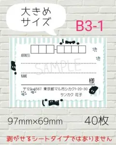 B3-1　宛名シール　大きめサイズ　40枚
