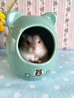 ハムスター　羊毛フェルト