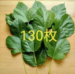 Item thumbnail for item 30330ba5-35f2-4ee7-905e-4848fbc3a6ea