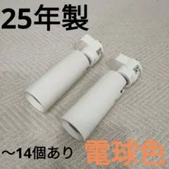 DAIKO スポットライト ダクトレール用 DSL-5345YME 2個セット