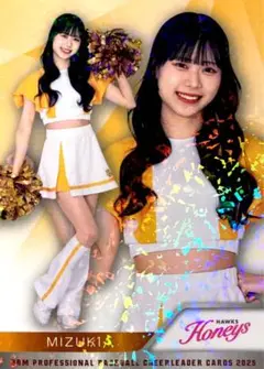 Item thumbnail for item 855a9e9c-f4a4-4979-a7d2-8fbb73bf46bb