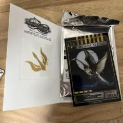 仮面ライダー　ファム　龍騎　アクリルスタンド