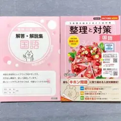 2025年度 整理と対策 国語 令和7年度改訂新版 SEITAI