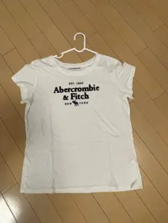 Abercrombie & Fitch ロゴTシャツ L