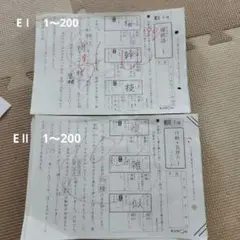 公文　国語EⅡ 1〜200 テスト　セット 公文国語e くもん国語プリント教材 EⅡ 1〜200 無記入 欠番なし