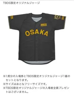 阪神タイガース B-LUCK DYNAMITE SERIESオリジナルジャージ②