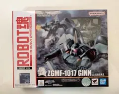 ROBOT魂 機動戦士ガンダムSEED ジン ver. A.N.I.M.E.