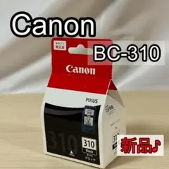 Item thumbnail for item d25ae152-3a9d-4236-b344-9fe1c9877fd5