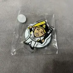 今宮健太　アクスタ