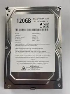 RADWELL WL120GSA872 3.5", Hard Drive