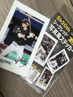 ホークス Sh20th ステッカー 周東佑京選手