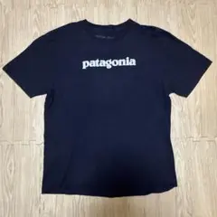 patagonia オーガニックコットン Tシャツ L