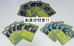 ポケモンカード チコリータ ベイリーフ メガニウム 進化ライン メガシンフォニア