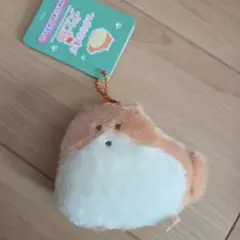 つぶらな瞳の犬と猫　ぽめらにあん　マスコット