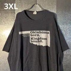USA古着Tシャツ 3XLサイズ JERZEES オーバーサイズ