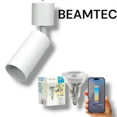 未使用✨ビームテック✨ダクトレール スポットライト E11 LED電球付き 白