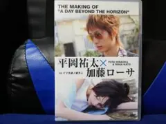 [国内盤DVD] 平岡祐太☆加藤ローサ in 「イツカ波ノ彼方ニ」